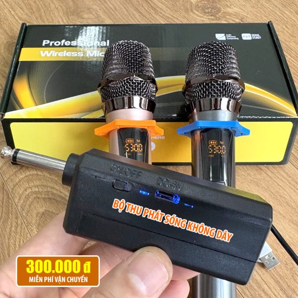 mic karaoke